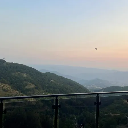 Tim Aris Apartment Kopaonik